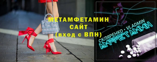 хмурый Пересвет