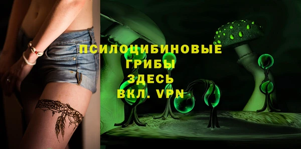 дживик Пестово