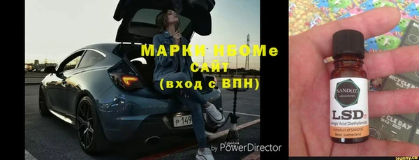 хмурый Пересвет