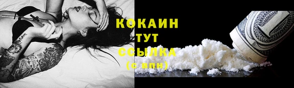 хмурый Пересвет