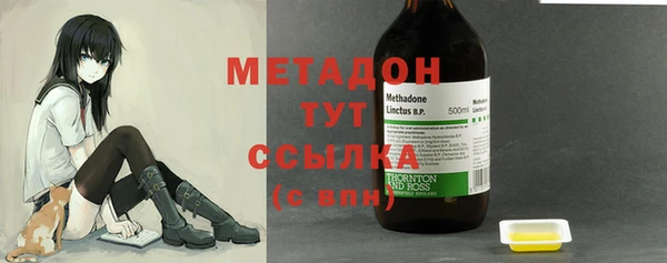 хмурый Пересвет