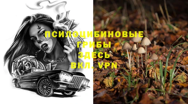 дживик Пестово