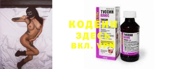 хмурый Пересвет