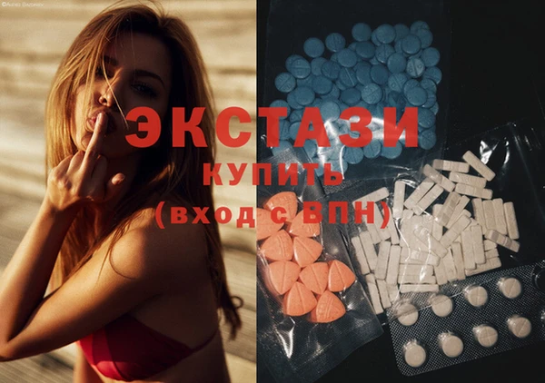 хмурый Пересвет