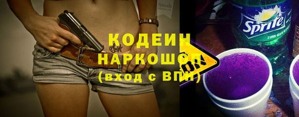 хмурый Пересвет
